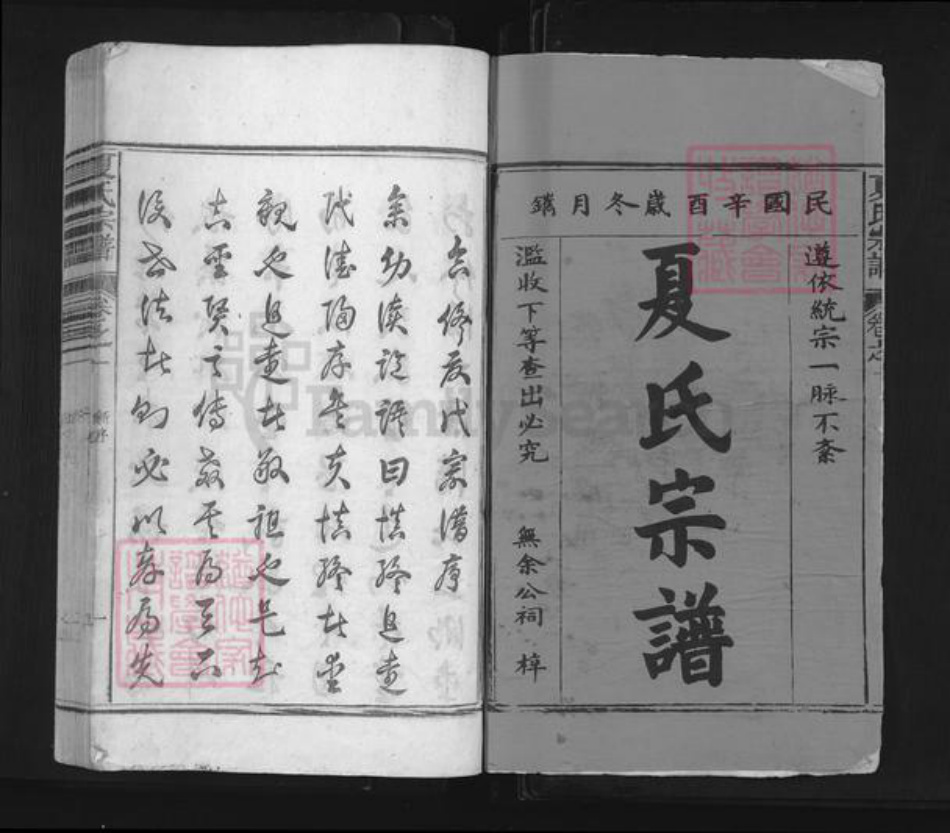 江西省景德镇市浮梁县西湖乡夏氏族谱-夏氏宗谱.pdf电子版插图1