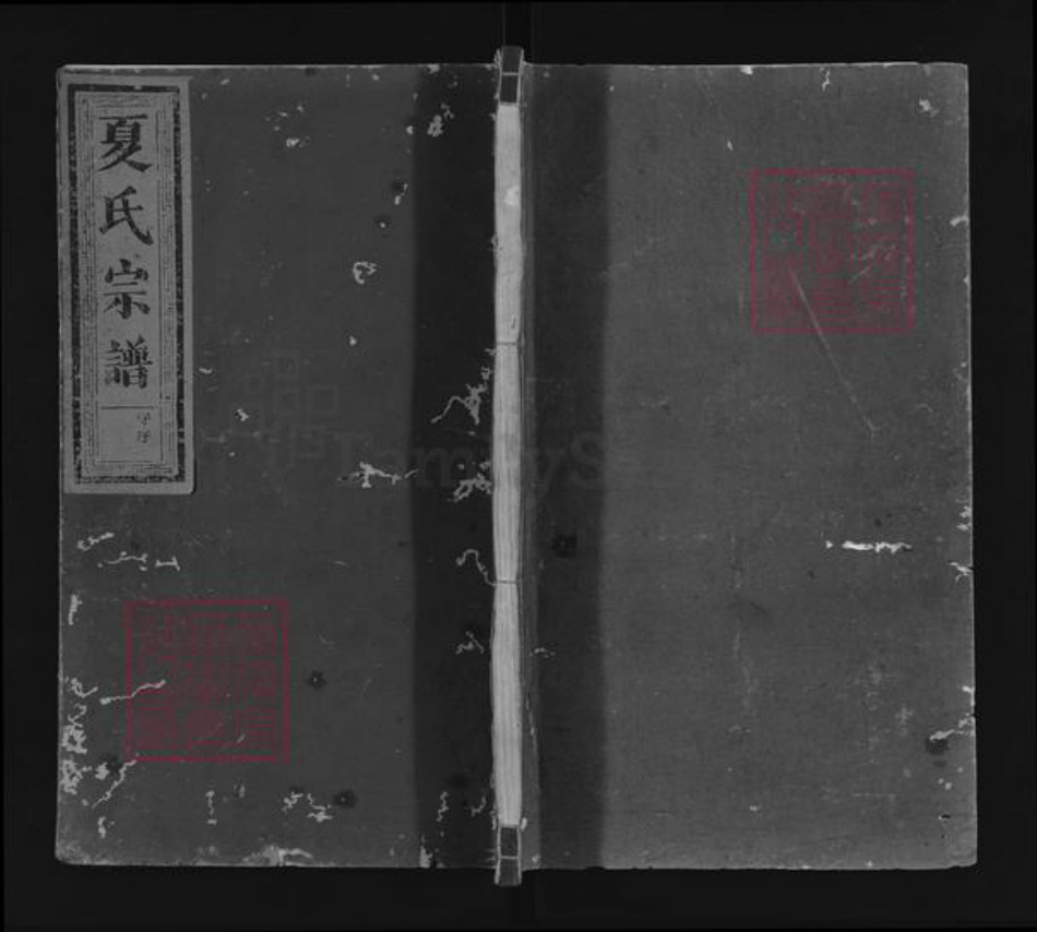 江西省抚州市南丰县东坪乡夏氏族谱-夏氏宗谱.pdf电子版