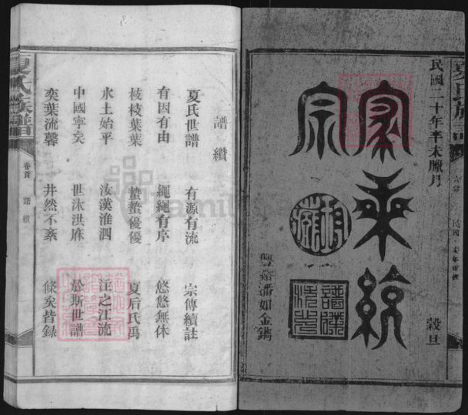 江西省抚州市南丰县东坪乡夏氏族谱-夏氏宗谱.pdf电子版插图1