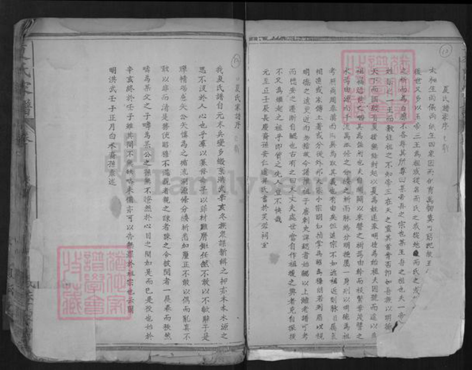 湖北省孝感市孝南区杨店镇夏氏福荫堂族谱-夏氏家谱.pdf电子版插图1