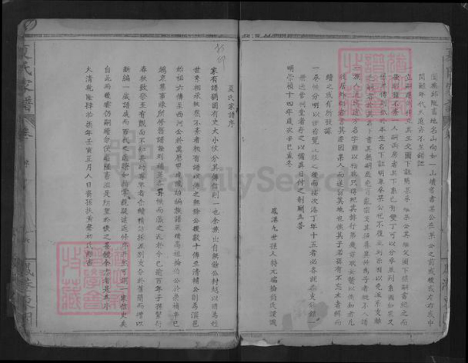 湖北省孝感市孝南区杨店镇夏氏福荫堂族谱-夏氏家谱.pdf电子版插图4