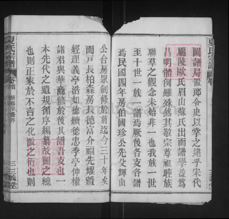 湖北省黄冈市罗田县大崎镇夏氏三义堂族谱-夏氏宗谱.pdf电子版插图4 湖北省黄冈市罗田县大崎镇夏氏三义堂族谱-夏氏宗谱.pdf电子版插图4