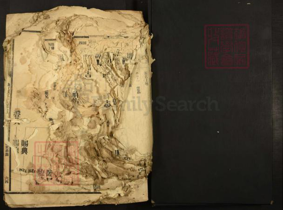 广东省夏氏族谱-广东夏氏五修族谱.pdf电子版插图1