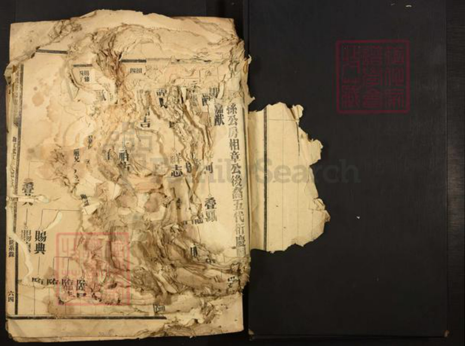 广东省夏氏族谱-广东夏氏五修族谱.pdf电子版插图2