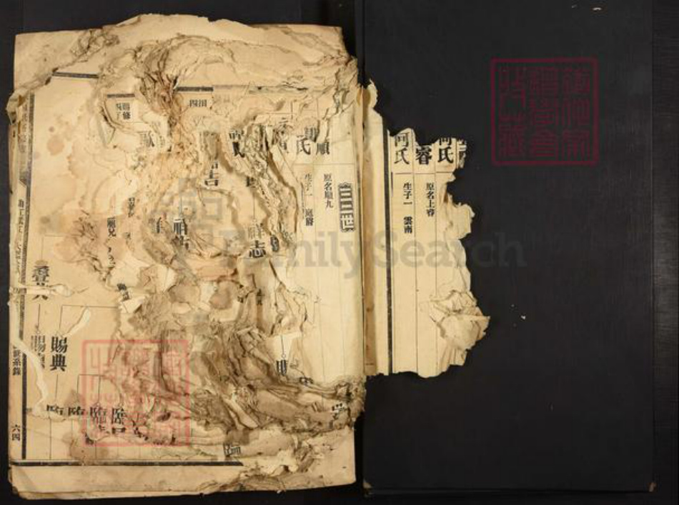 广东省夏氏族谱-广东夏氏五修族谱.pdf电子版插图4