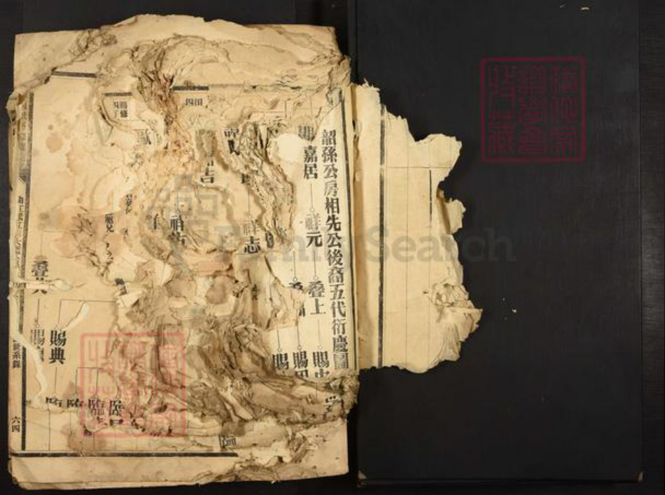 广东省夏氏族谱-广东夏氏五修族谱.pdf电子版插图5