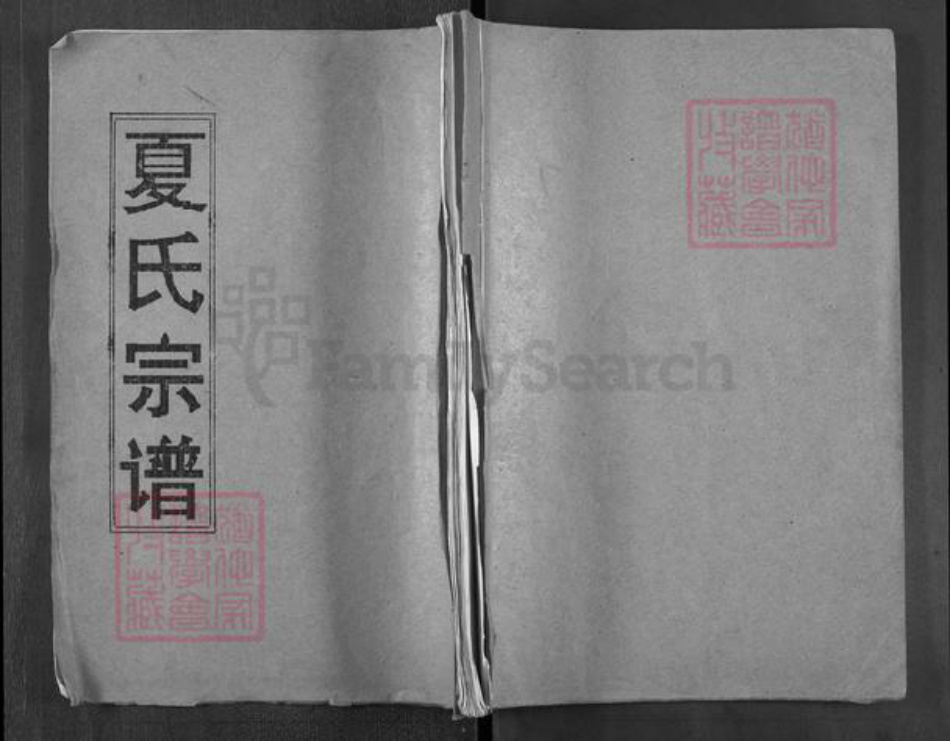 湖北省武汉市新洲区涨渡湖街道夏氏族谱-夏氏宗谱.pdf电子版插图