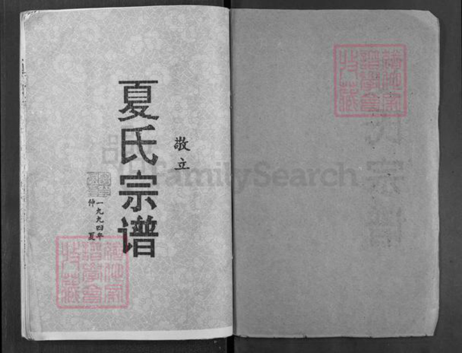 湖北省武汉市新洲区涨渡湖街道夏氏族谱-夏氏宗谱.pdf电子版插图1