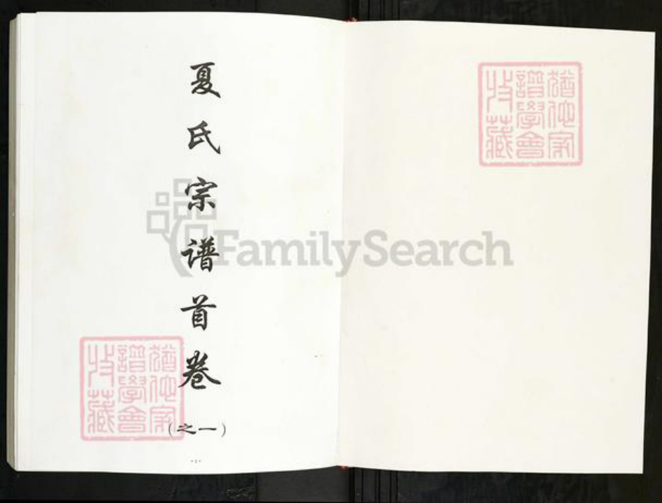 湖北省武汉市新洲区夏氏族谱-夏氏宗谱.pdf电子版插图1 湖北省武汉市新洲区夏氏族谱-夏氏宗谱.pdf电子版插图1