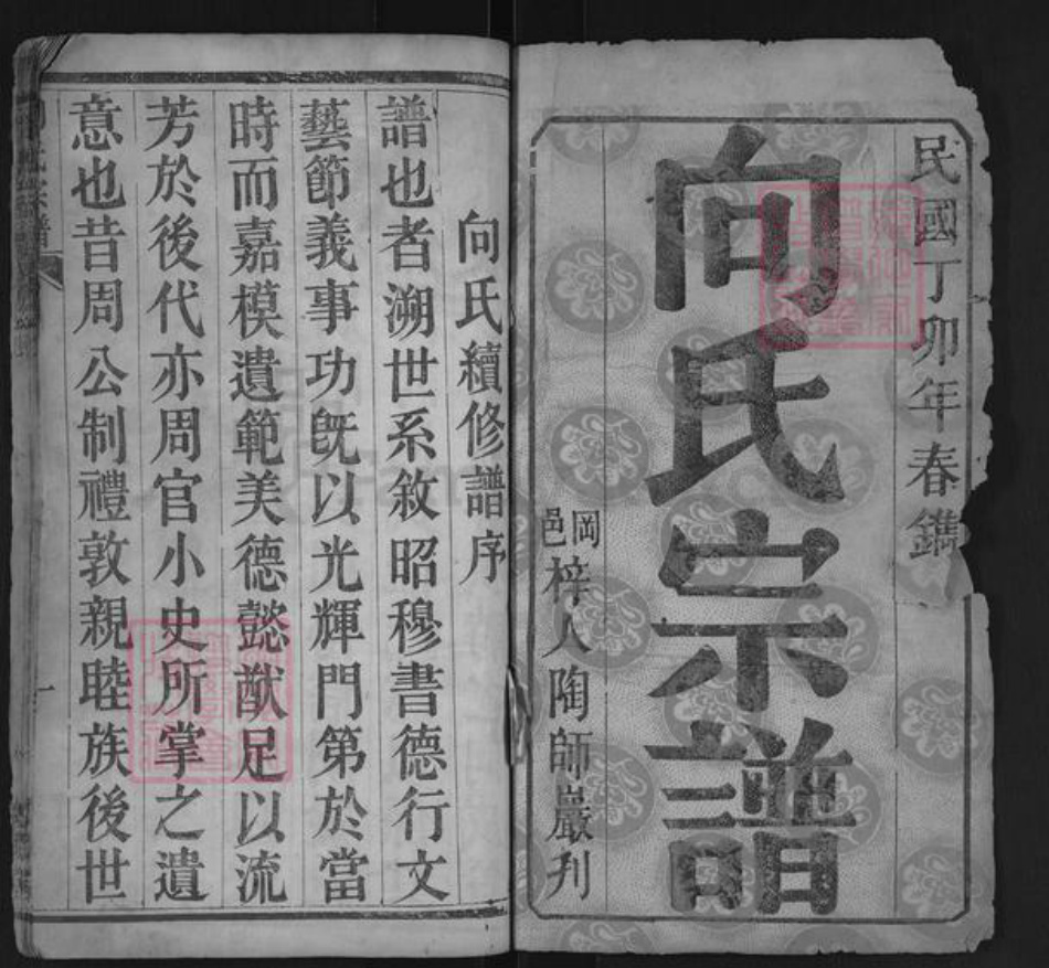湖北省武汉市黄陂区王家河街道向氏奕叶堂族谱-向氏宗谱.pdf电子版插图1
