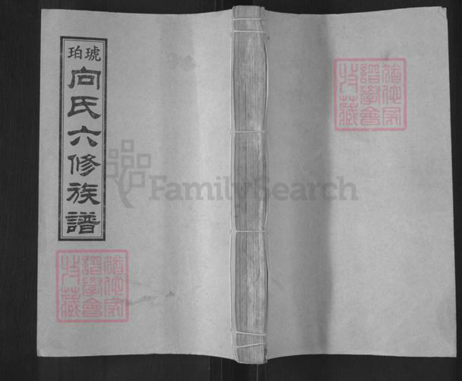 湖南省娄底市双峰县向氏琥珀堂族谱-琥珀向氏六修族谱.pdf电子版插图