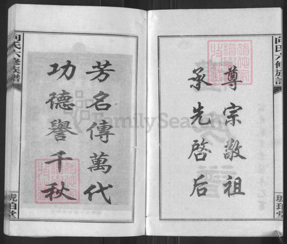 湖南省娄底市双峰县向氏琥珀堂族谱-琥珀向氏六修族谱.pdf电子版插图2