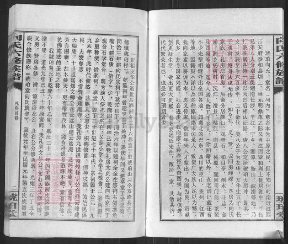 湖南省娄底市双峰县向氏琥珀堂族谱-琥珀向氏六修族谱.pdf电子版插图5