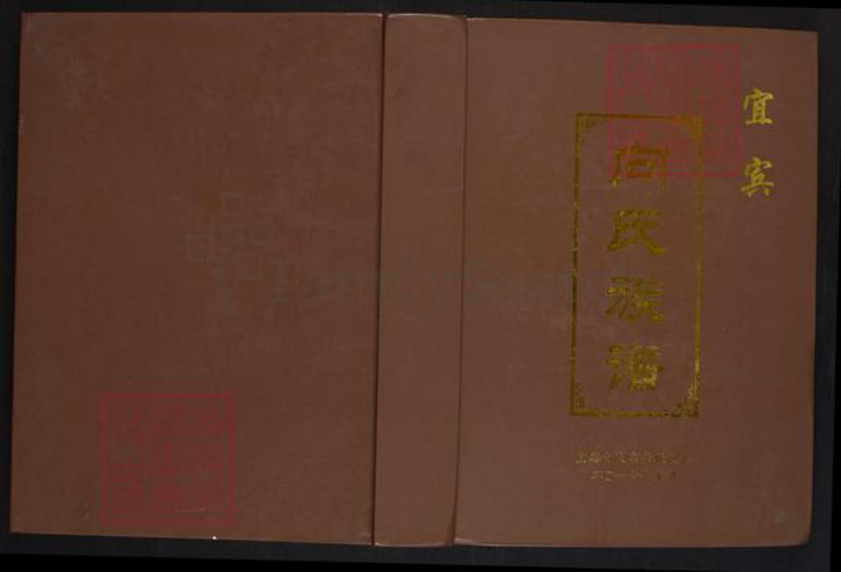 四川省宜宾市向氏族谱-宜宾向氏族谱.pdf电子版插图