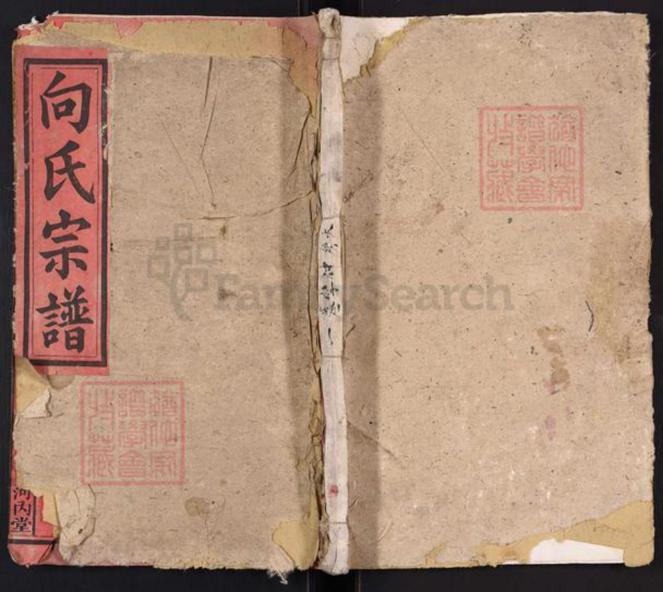 湖北省黄冈市黄梅县向氏族谱-向氏民籍宗谱[5卷首1卷].pdf电子版插图
