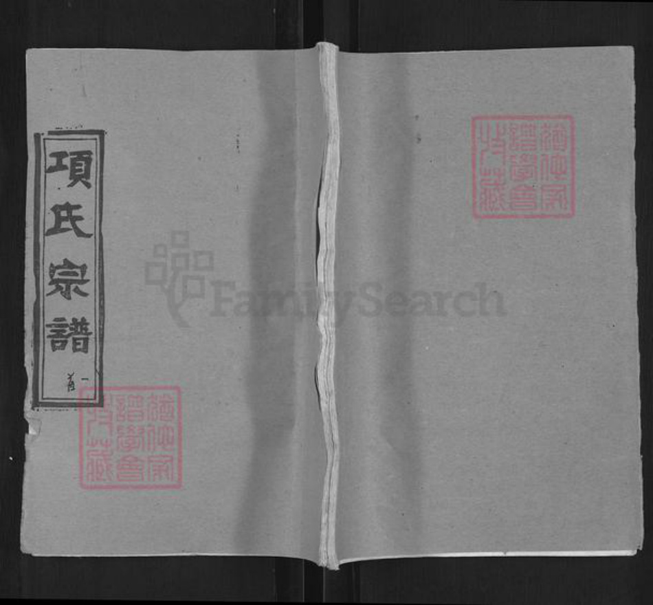 湖北省武汉市新洲区项氏敦伦堂族谱-项氏宗谱.pdf电子版插图