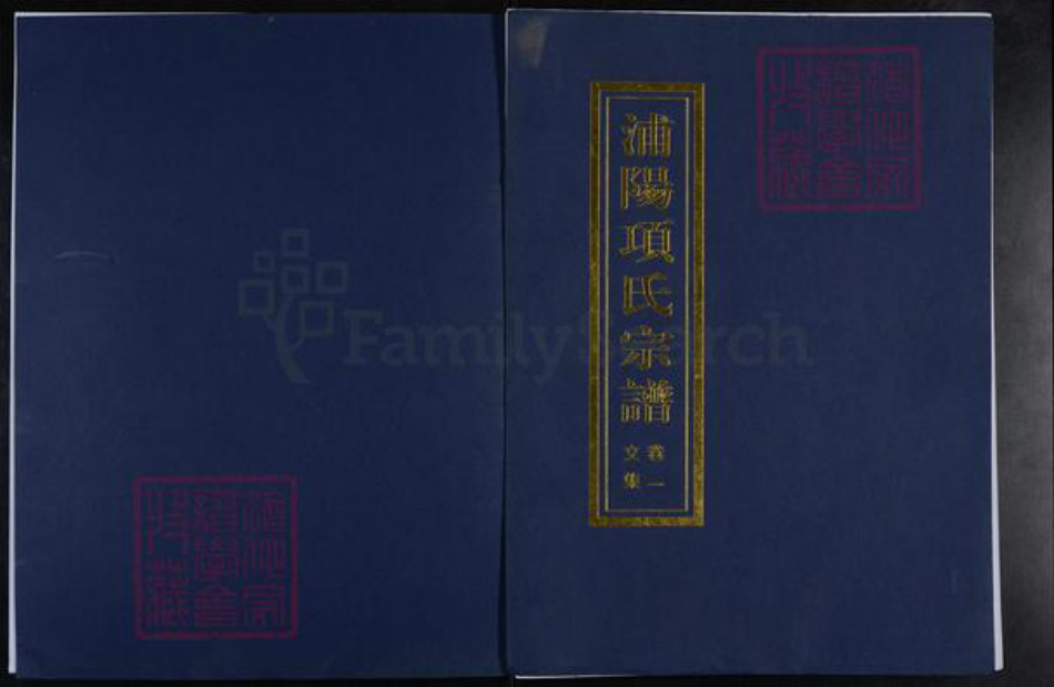 浙江省杭州市萧山区萧山项氏族谱-浦阳项氏宗谱.pdf电子版插图