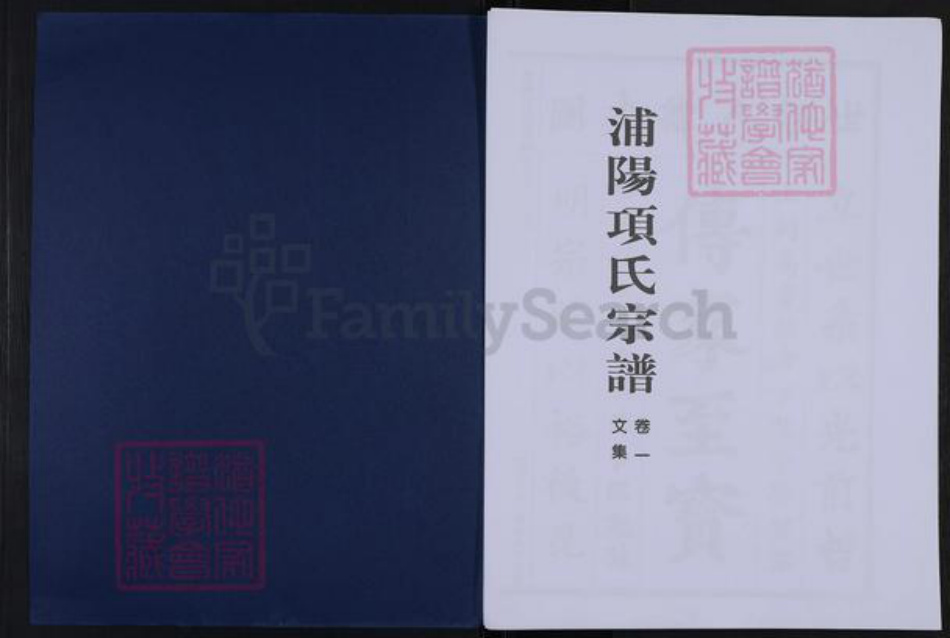 浙江省杭州市萧山区萧山项氏族谱-浦阳项氏宗谱.pdf电子版插图1