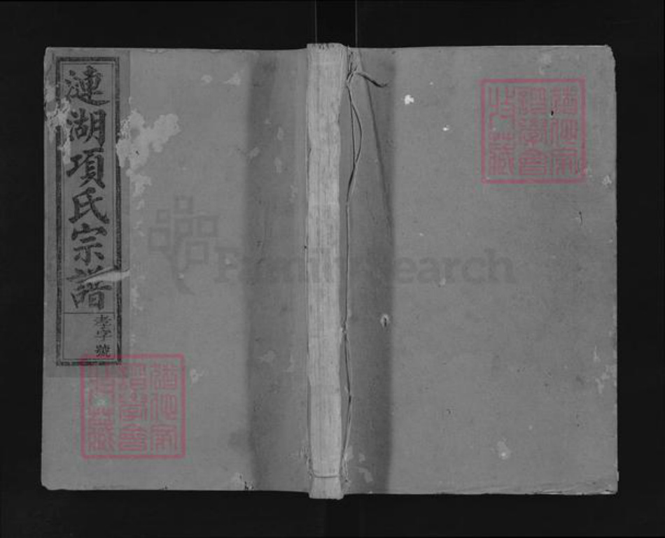 江西省上饶市广丰区项氏族谱-丰谿涟湖项氏宗谱.pdf电子版插图