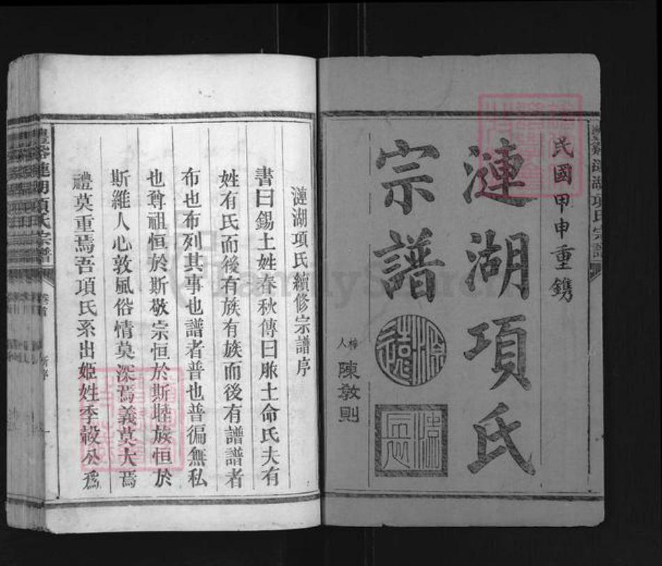 江西省上饶市广丰区项氏族谱-丰谿涟湖项氏宗谱.pdf电子版插图1