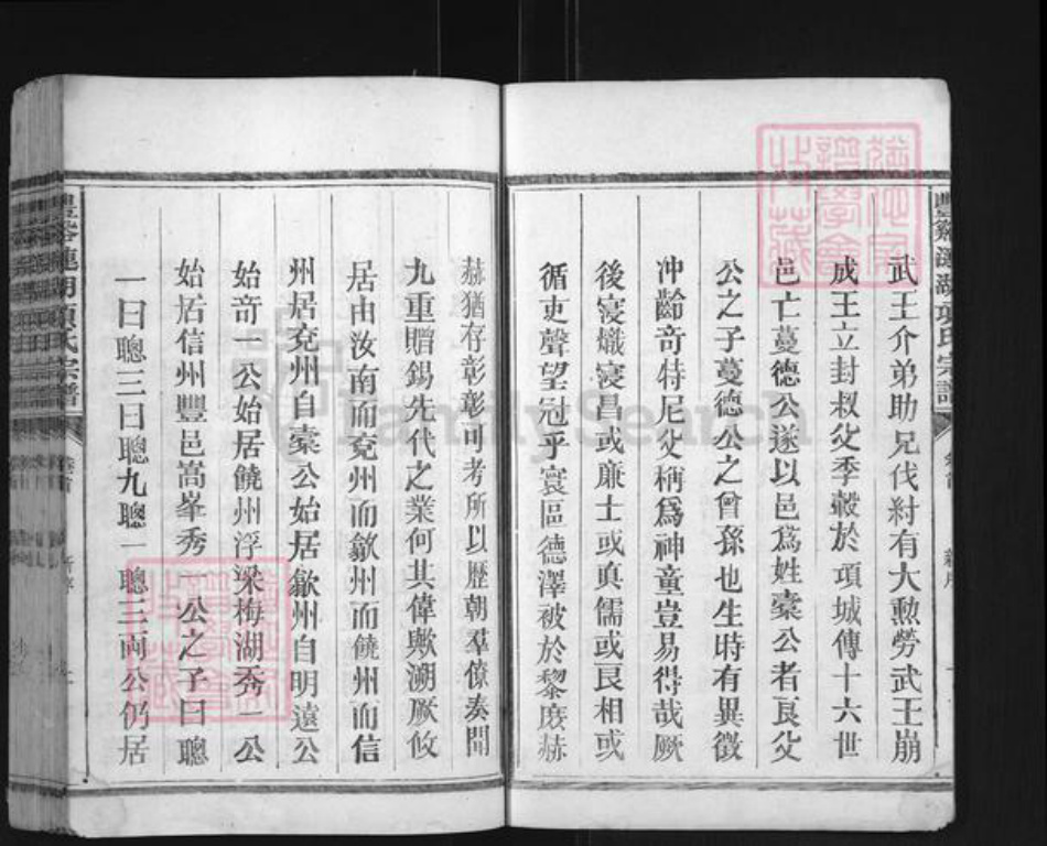 江西省上饶市广丰区项氏族谱-丰谿涟湖项氏宗谱.pdf电子版插图2