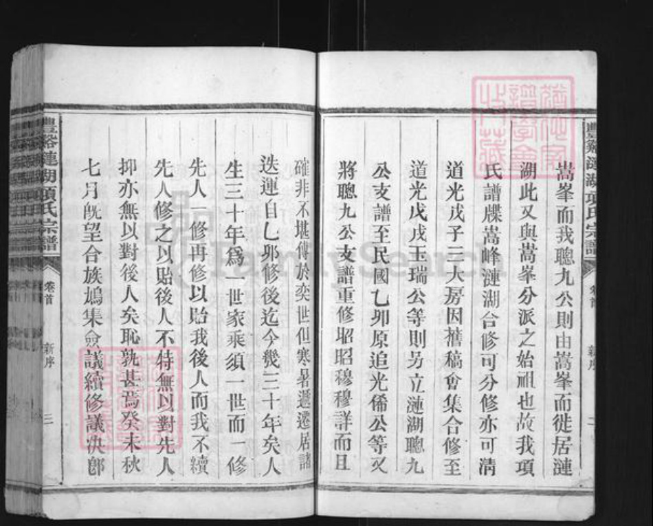 江西省上饶市广丰区项氏族谱-丰谿涟湖项氏宗谱.pdf电子版插图3
