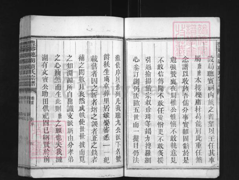江西省上饶市广丰区项氏族谱-丰谿涟湖项氏宗谱.pdf电子版插图4