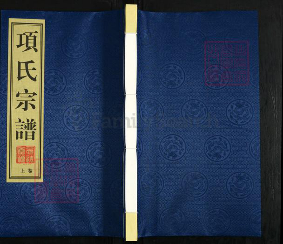 江苏省镇江市丹阳市导墅镇项氏志远堂族谱-项氏宗谱.pdf电子版插图