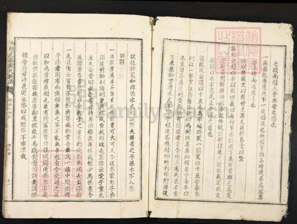江西省吉安市泰和市万合镇肖氏族谱-沙湖虎溪肖氏族谱.pdf电子版插图5