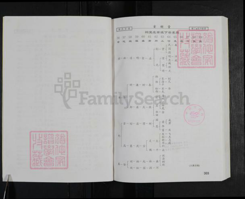 湖北省咸宁市谢氏宝树堂族谱-谢氏宗谱.pdf电子版插图4