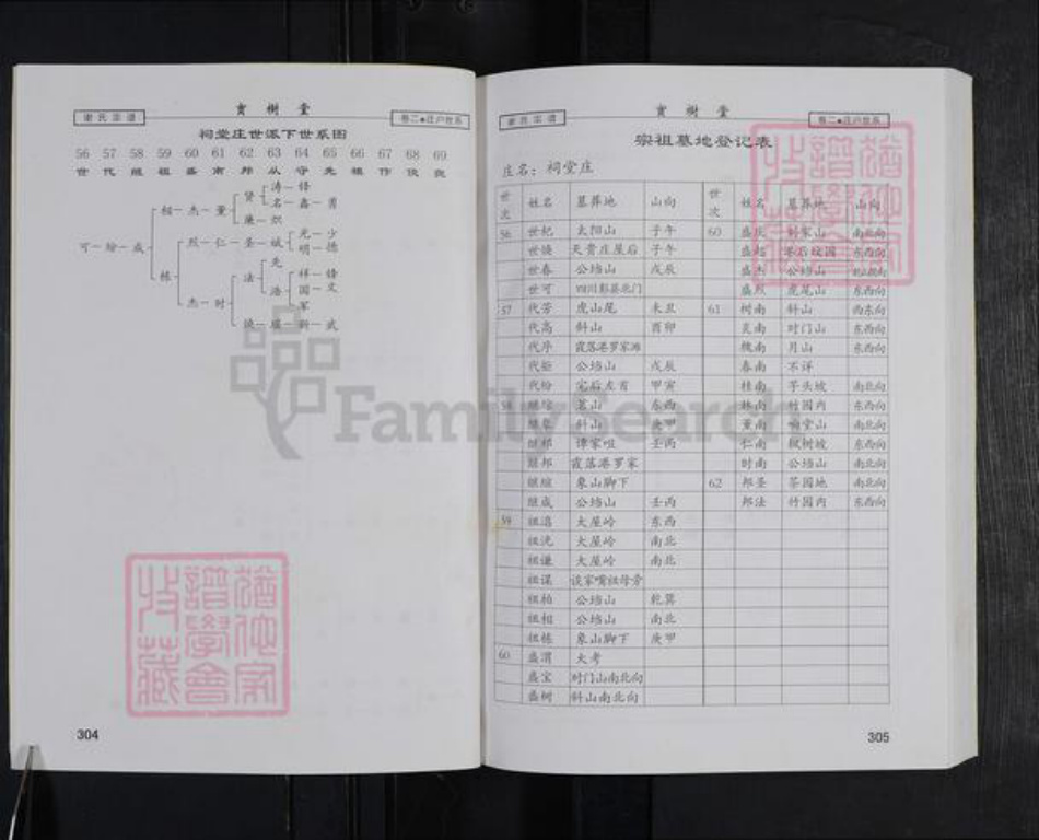 湖北省咸宁市谢氏宝树堂族谱-谢氏宗谱.pdf电子版插图5