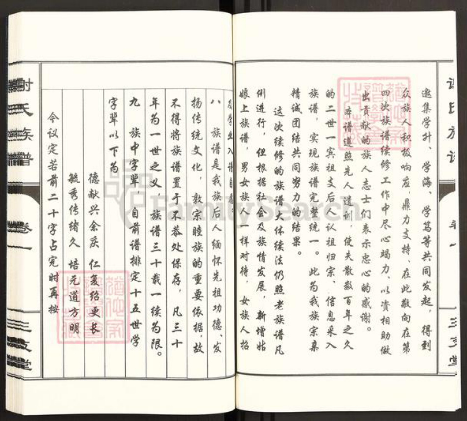 山东省泰安市东平县谢氏三支堂族谱-东原谢氏族谱.pdf电子版插图4