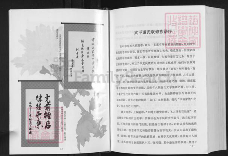 福建省龙岩市武平县城厢乡谢氏宝树堂族谱-武平谢氏族谱.pdf电子版插图2