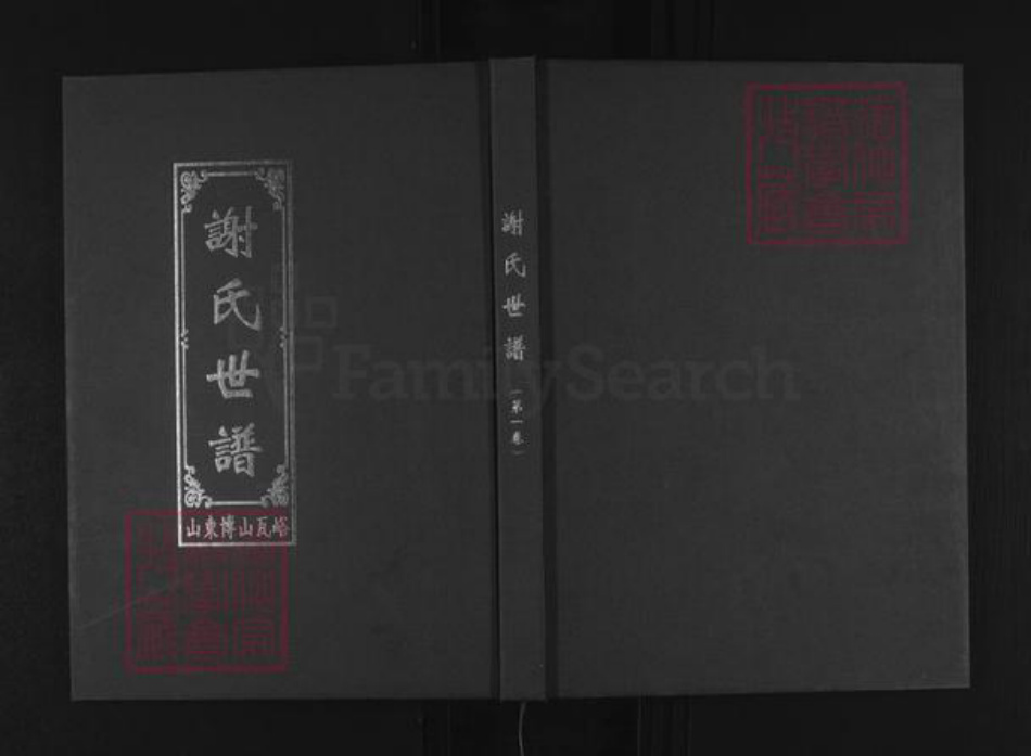 山东省淄博市博山区谢氏族谱-谢氏世谱.pdf电子版插图