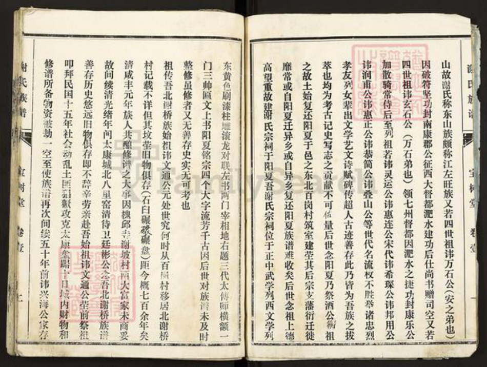 河南省周口市扶沟县固城乡谢氏宝树堂族谱-谢氏族谱.pdf电子版插图4