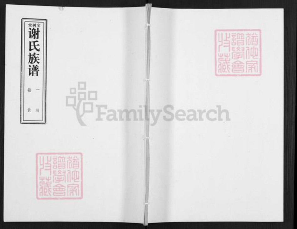 山东省枣庄市滕州市滨湖镇谢氏宝树堂族谱-谢氏族谱.pdf电子版插图