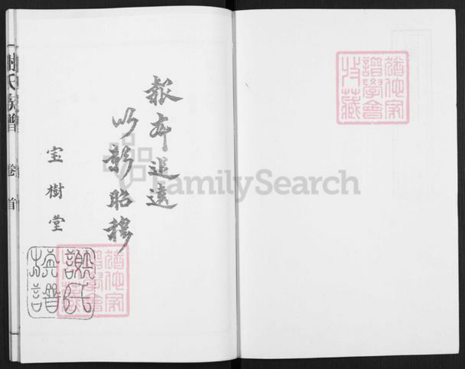 山东省枣庄市滕州市滨湖镇谢氏宝树堂族谱-谢氏族谱.pdf电子版插图1