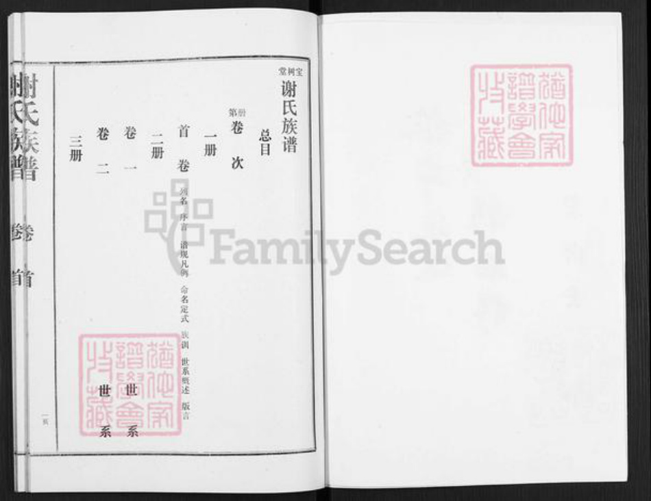山东省枣庄市滕州市滨湖镇谢氏宝树堂族谱-谢氏族谱.pdf电子版插图2