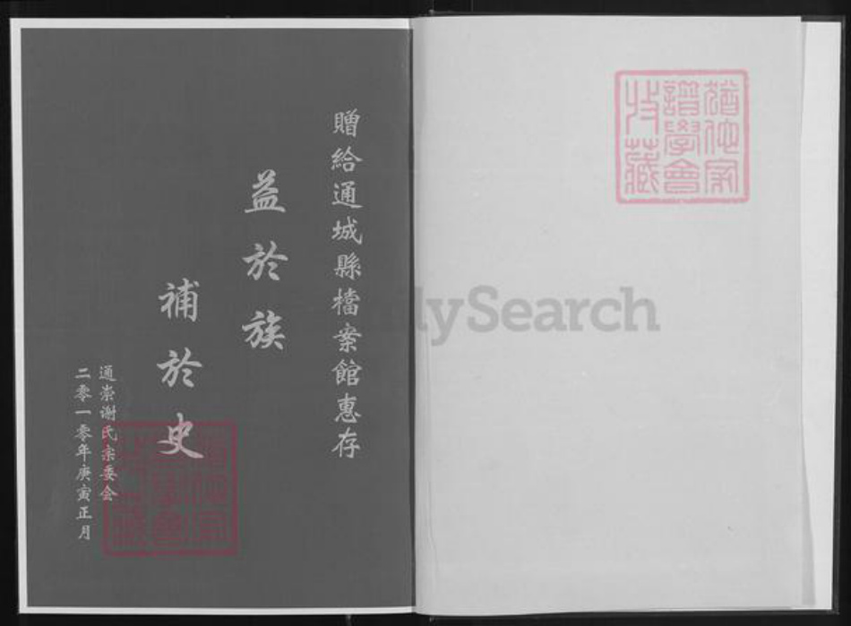 湖北省咸宁市通城县谢氏宝树堂族谱-谢氏宗谱.pdf电子版插图1