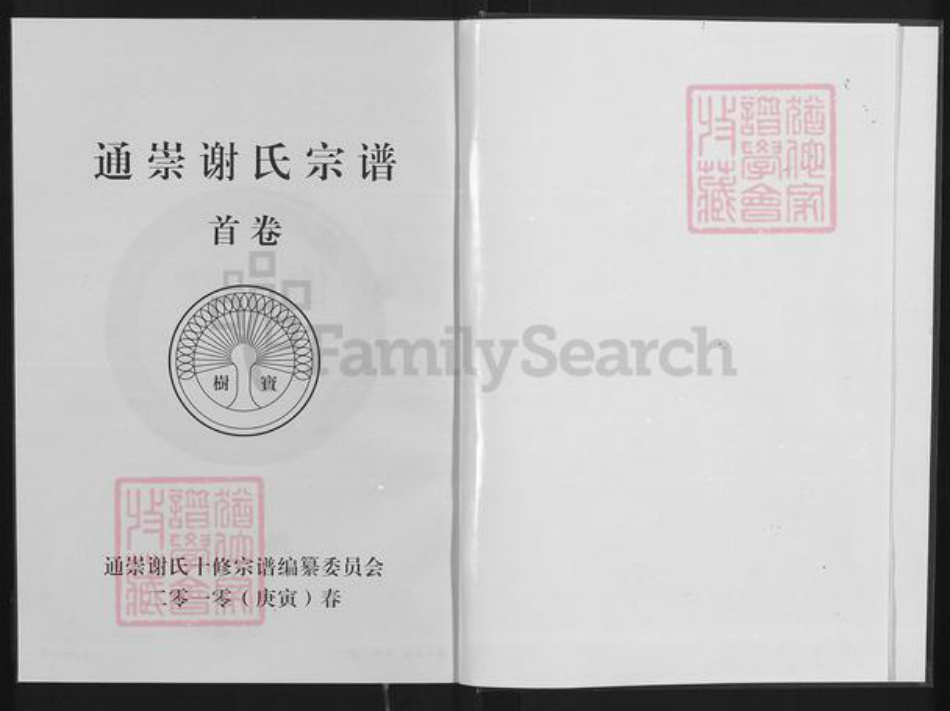 湖北省咸宁市通城县谢氏宝树堂族谱-谢氏宗谱.pdf电子版插图2