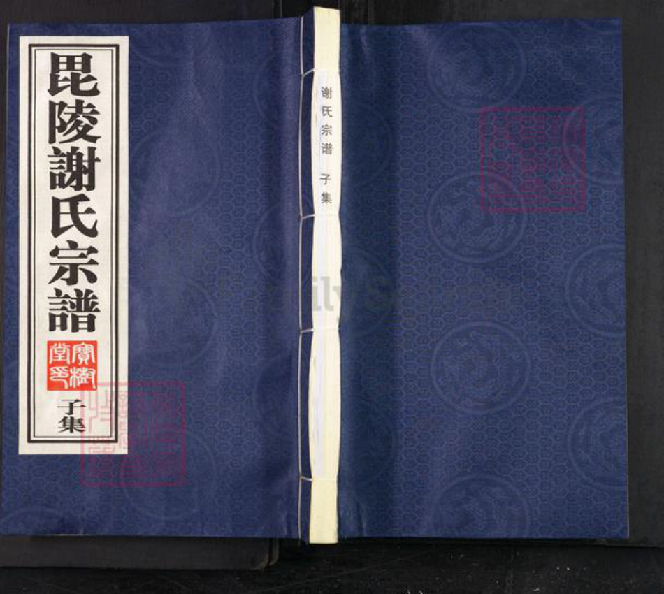 江苏省常州市新北区罗溪镇谢氏宝树堂族谱-毘陵谢氏宗谱.pdf电子版插图