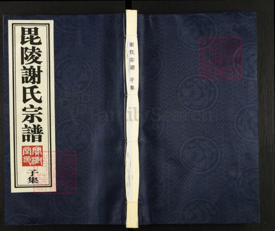 江苏省常州市谢氏宝树堂族谱-毗陵谢氏宗谱.pdf电子版插图