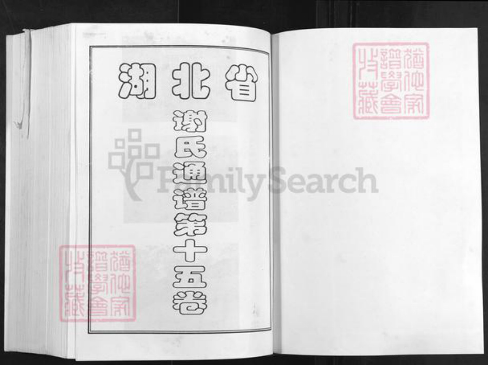 湖北省黄冈市红安县谢氏宝树堂族谱-谢氏宗谱.pdf电子版插图1