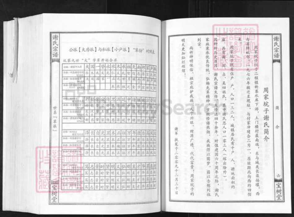 湖北省黄冈市红安县谢氏宝树堂族谱-谢氏宗谱.pdf电子版插图4