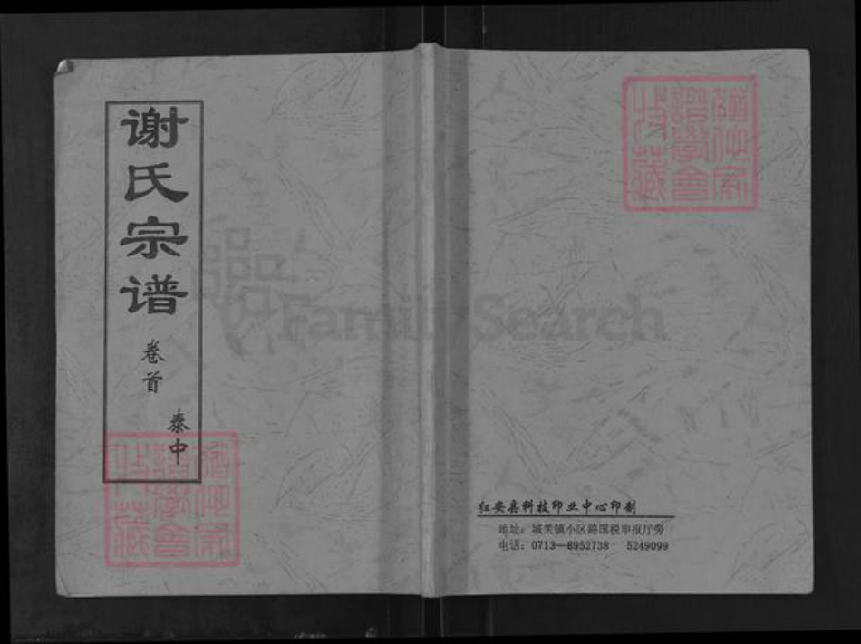 湖北省黄冈市红安县谢氏宝树堂族谱-谢氏宗谱.pdf电子版插图