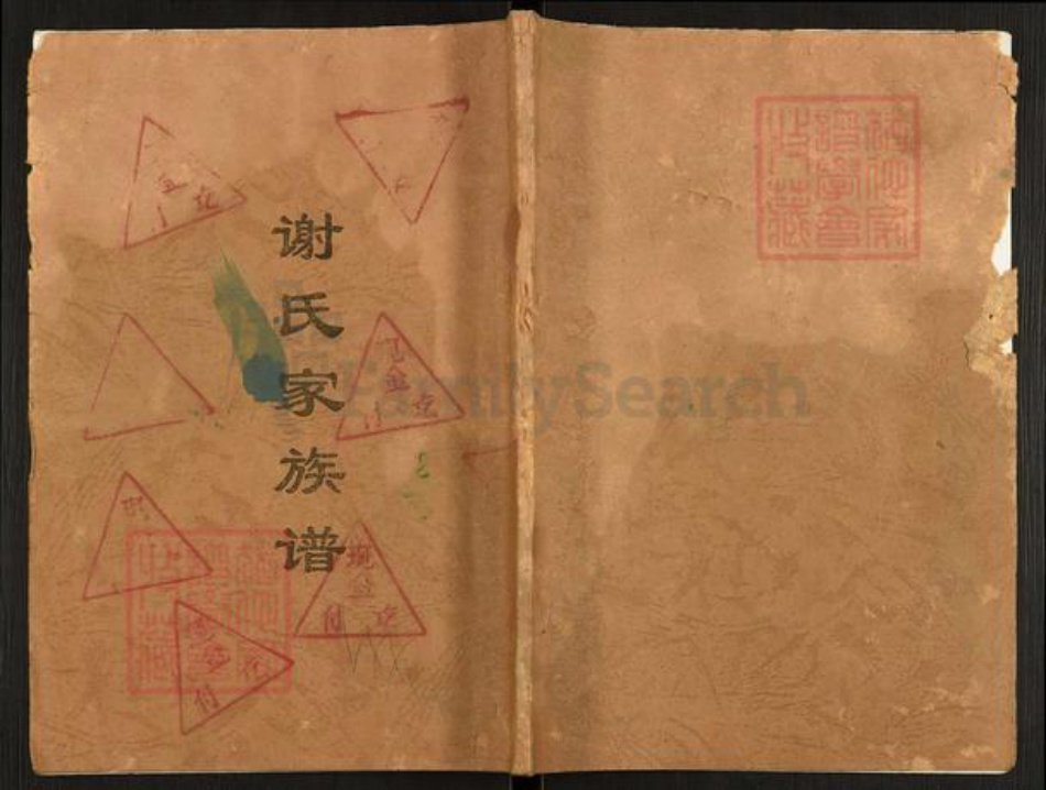 重庆市开州区谢氏族谱-谢氏家族谱.pdf电子版插图