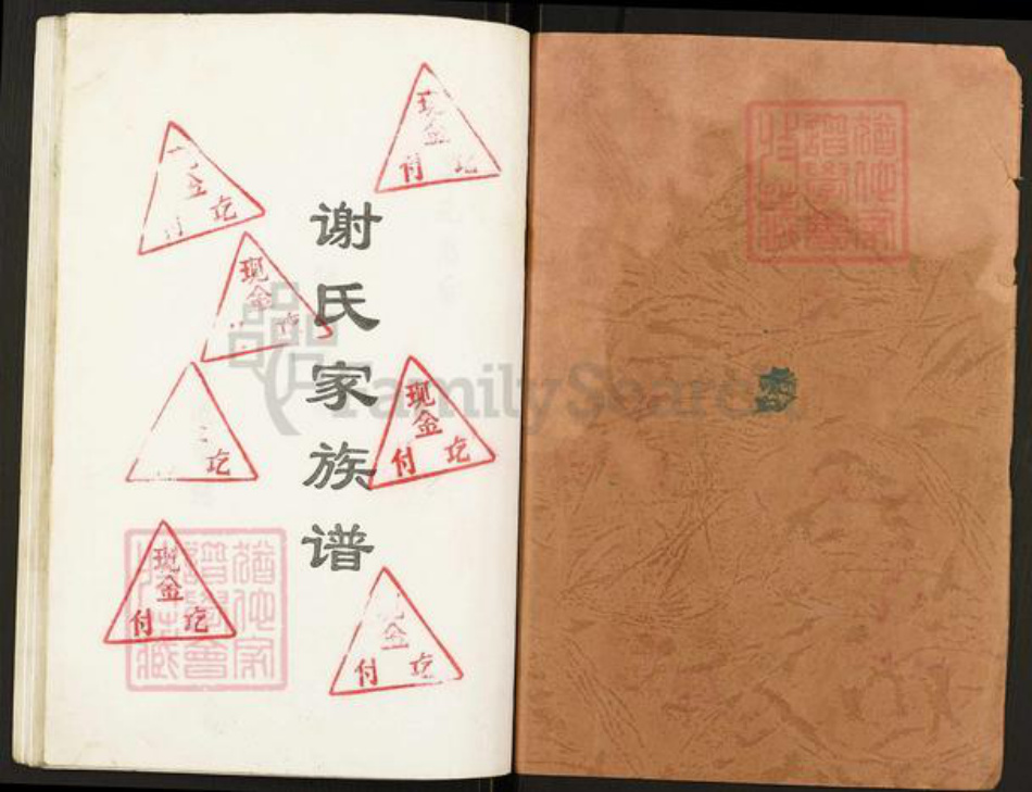 重庆市开州区谢氏族谱-谢氏家族谱.pdf电子版插图1