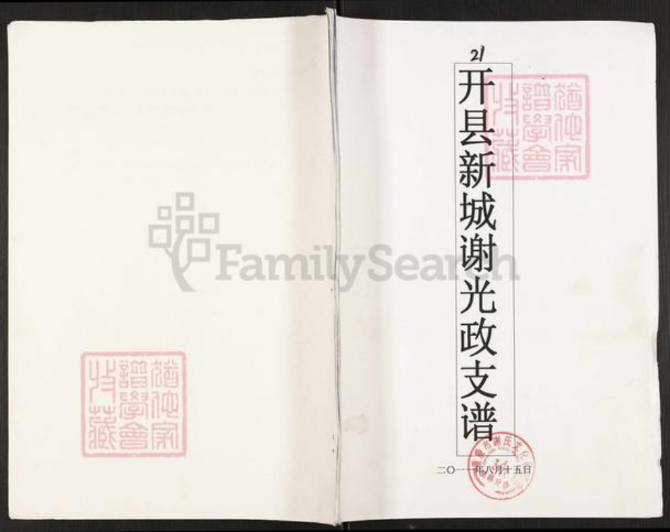 重庆市开州区谢氏族谱-开县新城谢光政支谱.pdf电子版插图