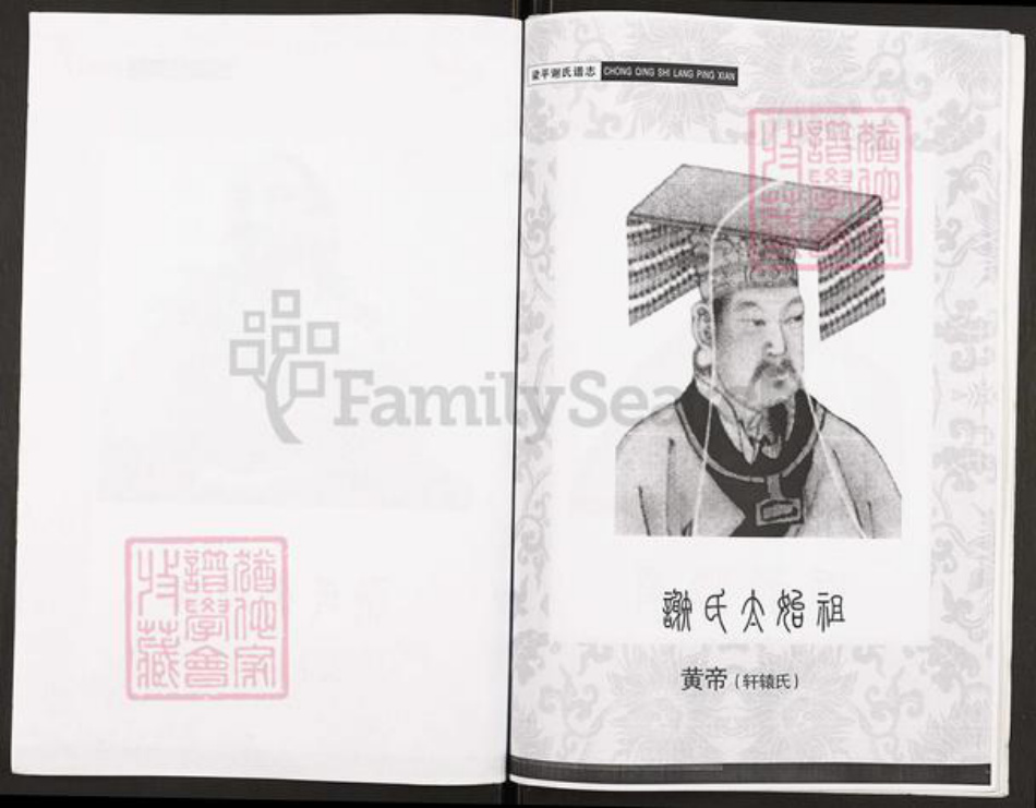 重庆市开州区谢氏族谱-开县新城谢光政支谱.pdf电子版插图2
