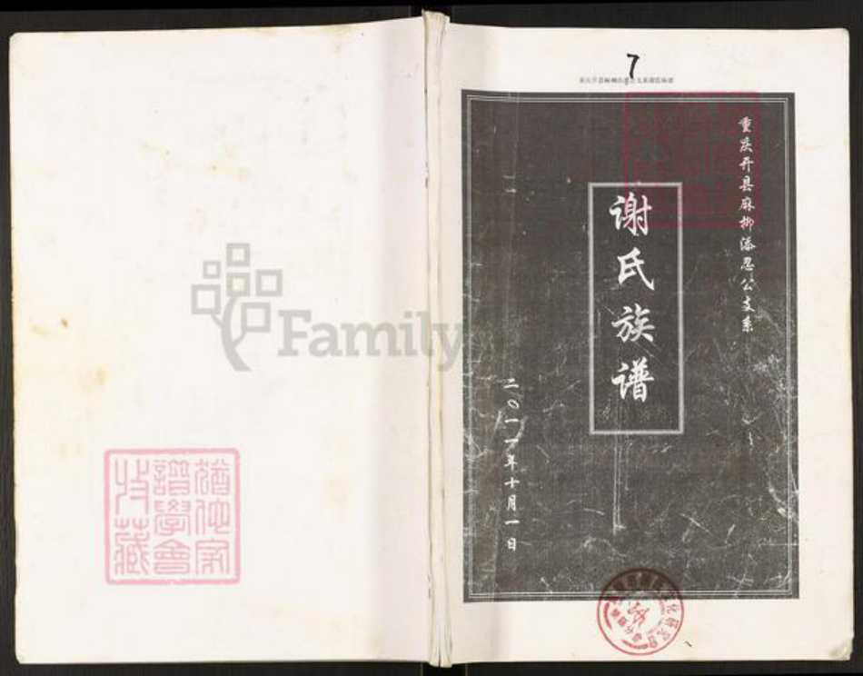 重庆市开州区谢氏族谱-谢氏族谱.重庆开县麻柳添忍公支系.pdf电子版插图